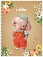 Opakowanie Kołobrulion B6/80K gładki Little friend ASTRA