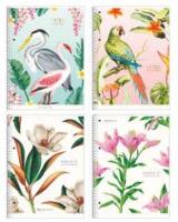 Opakowanie Kołozeszyt A4/80K linia Nature motifs ASTRA
