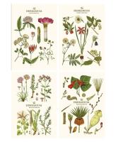 Opakowanie Notes A5/64K gładki Sketch&note Herbarium ASTRA