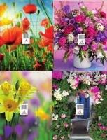 Opakowanie Podstawka zdzieraka MIX