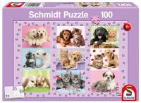Opakowanie Puzzle 100 Przyjaciele G3