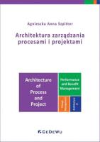 Okładka książki Architektura zarządzania procesami i projektami