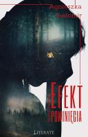 Efekt pominięcia. Autor: Agnieszka Sudomir. SmakLiter.pl Okładka książki Efekt pominięcia