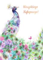 Opakowanie Karnet B6 Paw 2