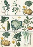 Opakowanie Karnet ST355 B6 + koperta Warzywa