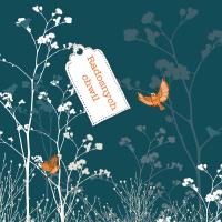 Opakowanie Karnet Swarovski kwadrat CL3402 Radosnych chwil