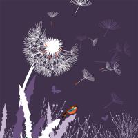 Opakowanie Karnet Swarovski kwadrat CL3404 Dmuchawiec