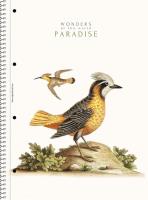 Opakowanie Kołozeszyt A4/80K linia Paradise ASTRA