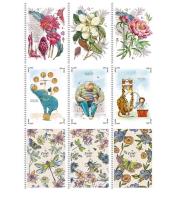 Opakowanie Kołozeszyt A5/96K kratka Create more ASTRA