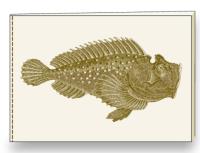 Opakowanie Notatnik ozdobny A5 BR NB S31 A ROSSI