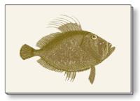 Opakowanie Notes ozdobny A5 BR NP S28 C ROSSI