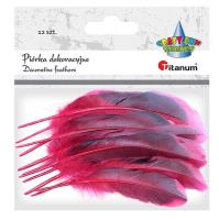 Opakowanie Piórka czerwono czarne 12szt