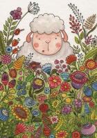 Pocztówka z kolorowanką - Przypatrzcie się liliom. Autor: Katarzyna Rymorz. SmakLiter.pl Okładka książki Pocztówka z kolorowanką - Przypatrzcie się liliom