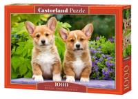 Opakowanie Puzzle 1000 Welsh Corgi Puppies