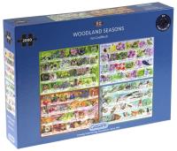 Opakowanie Puzzle 2000 Lesny alfabet na cztery pory roku G3