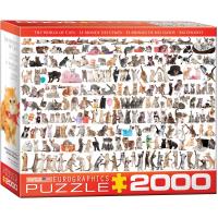 Opakowanie Puzzle 2000 Świat kotów 8220-0580