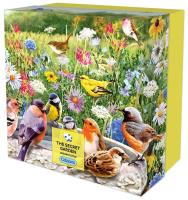 Opakowanie Puzzle 500 Tajemniczy ogród G3