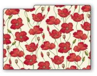 Opakowanie Teczka na dokumenty FF 583A (3szt) ROSSI