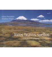 Okładka książki Toros bravos sueltos czyli podróże pewnego małżeństwa