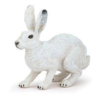 Opakowanie Zając arktyczny