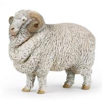 Opakowanie Baran Merynos