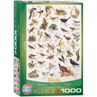 Opakowanie Birds6000-1259