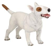 Opakowanie Bulterier