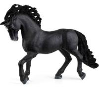 Opakowanie Hiszpański ogier