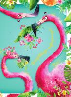 Opakowanie Karnet B6 flaming 2