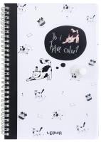 Opakowanie Kołonotes B5/80K linia zamykany na zatrzask