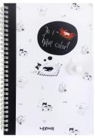 Opakowanie Kołonotes B5/80K linia zamykany na zatrzask