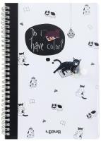 Opakowanie Kołonotes B5/80K linia zamykany na zatrzask