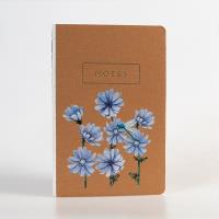 Opakowanie Notes Kwiaty Polskie Cykoria KPL 6