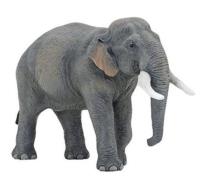 Papo Słoń azjatycki (50131). Autor: 50131. SmakLiter.pl Okładka książki Papo Słoń azjatycki (50131)