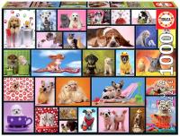 Puzzle 1000 Wspólne chwile G3. Wydawca: Educa. SmakLiter.pl Opakowanie Puzzle 1000 Wspólne chwile G3