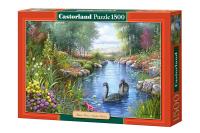 Okładka książki Puzzle 1500 Czarne łabędzie CASTOR