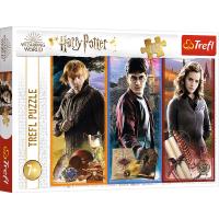 Opakowanie Puzzle 200 W świecie magii i czarów Harry Potter 13277