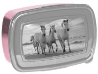 Opakowanie Śniadaniówka Horses PP21HO-3022 PASO