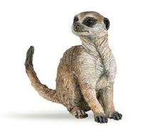 Opakowanie Surykatka siedząca