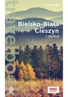 Bielsko-Biała Cieszyn i okolice Travelbook. Autor: Iwona Baturo. SmakLiter.pl Okładka książki Bielsko-Biała Cieszyn i okolice Travelbook