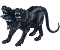 Opakowanie Cerber czarny