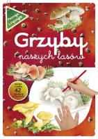 Grzyby naszych lasów. Autor: Katarzyna Kopiec-Sekieta. SmakLiter.pl Okładka książki Grzyby naszych lasów