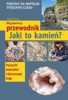 Jaki to kamień?. Autor: Radosław Żbikowski. SmakLiter.pl Okładka książki Jaki to kamień?