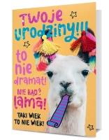 Opakowanie Karnet B6 Twoje urodziny HM-200-1837