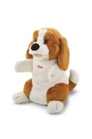 Opakowanie Pacynka Beagle