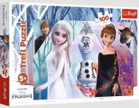 Opakowanie Puzzle 100 Zaczarowana Kraina TREFL