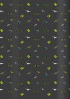 Opakowanie Zeszyt A5/16K linia Dino (20szt)