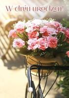 Opakowanie Karnet B6 3DV-105 Urodziny kwiaty