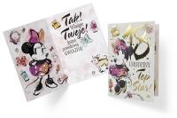 Karnet B6 DS-018 Urodziny 18 Myszka Minnie. Wydawca: Kukartka. SmakLiter.pl Opakowanie Karnet B6 DS-018 Urodziny 18 Myszka Minnie