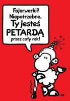 Opakowanie Karnet B6 Sheepworld 00007 Urodziny, petarda